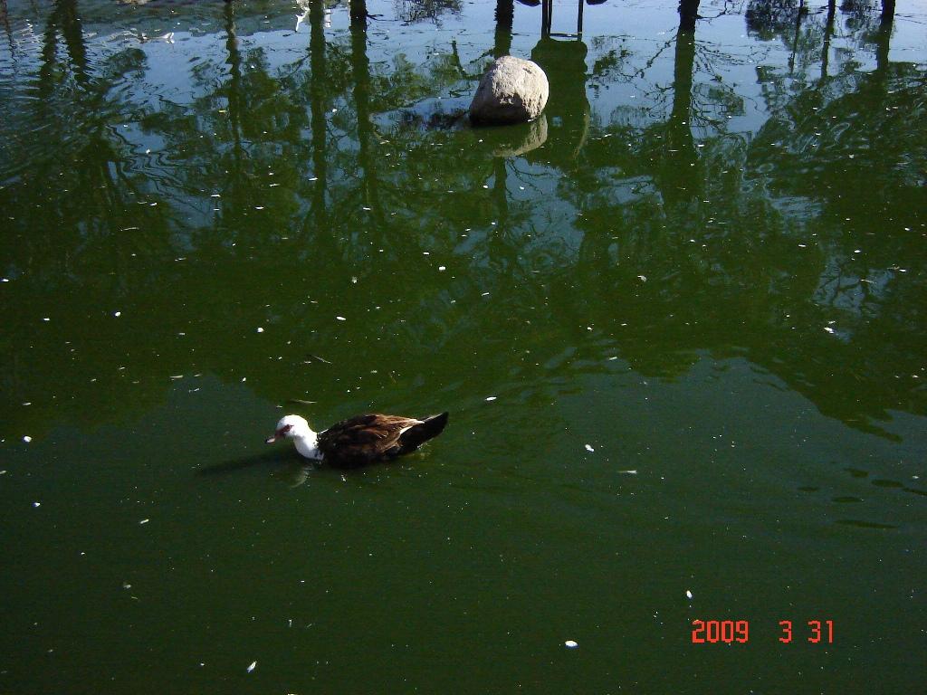 Foto de Tornquist (Buenos Aires), Argentina