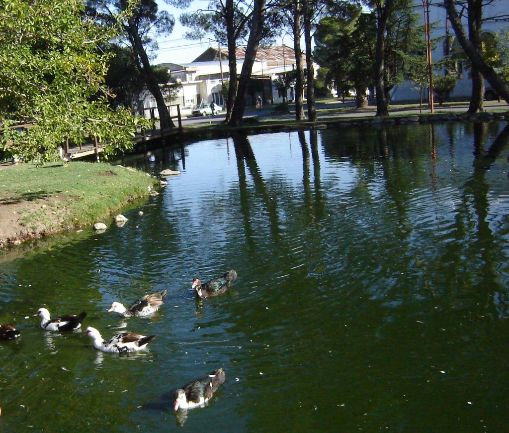 Foto de Tornquist (Buenos Aires), Argentina