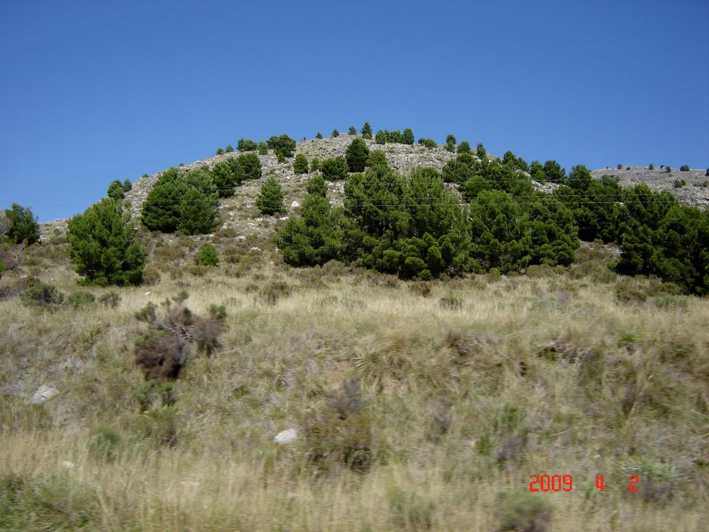 Foto de Sierra de la Ventana (Buenos Aires), Argentina