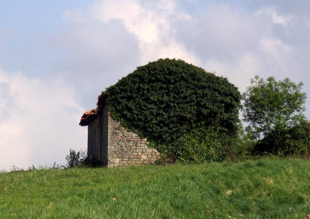 Foto de La Helguera de Penagos (Cantabria), España