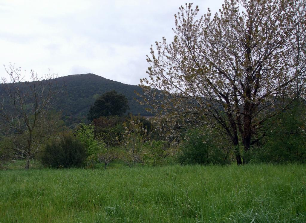 Foto de Liaño (Cantabria), España