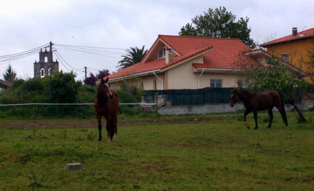 Foto de Liaño (Cantabria), España