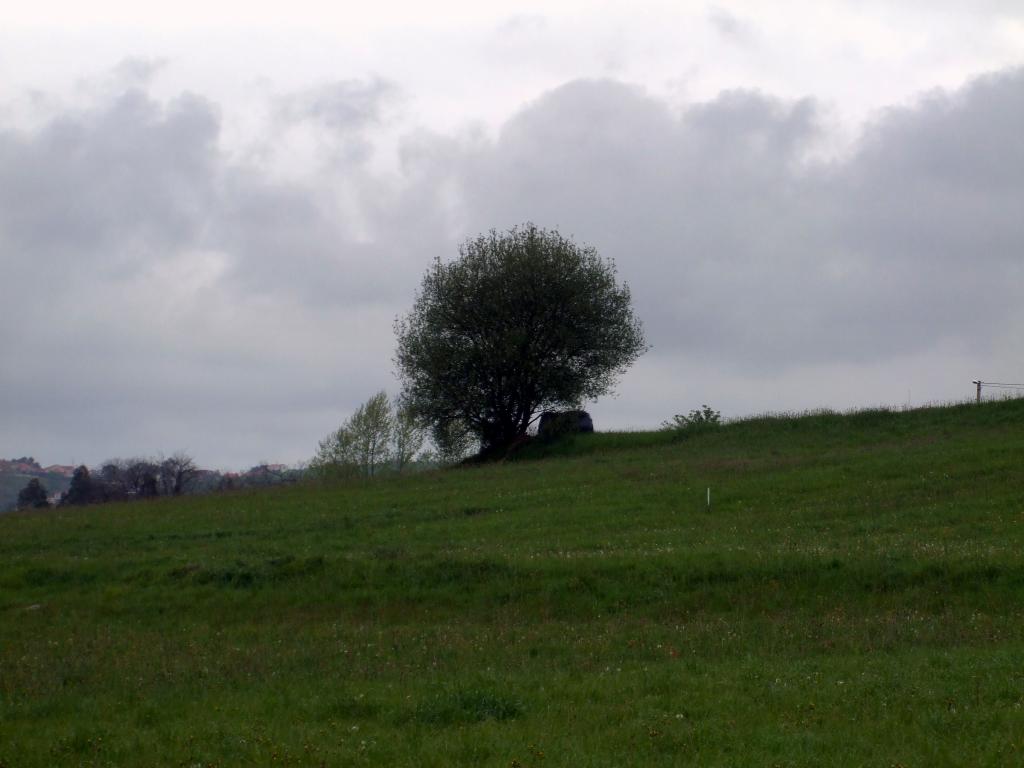 Foto de Liaño (Cantabria), España