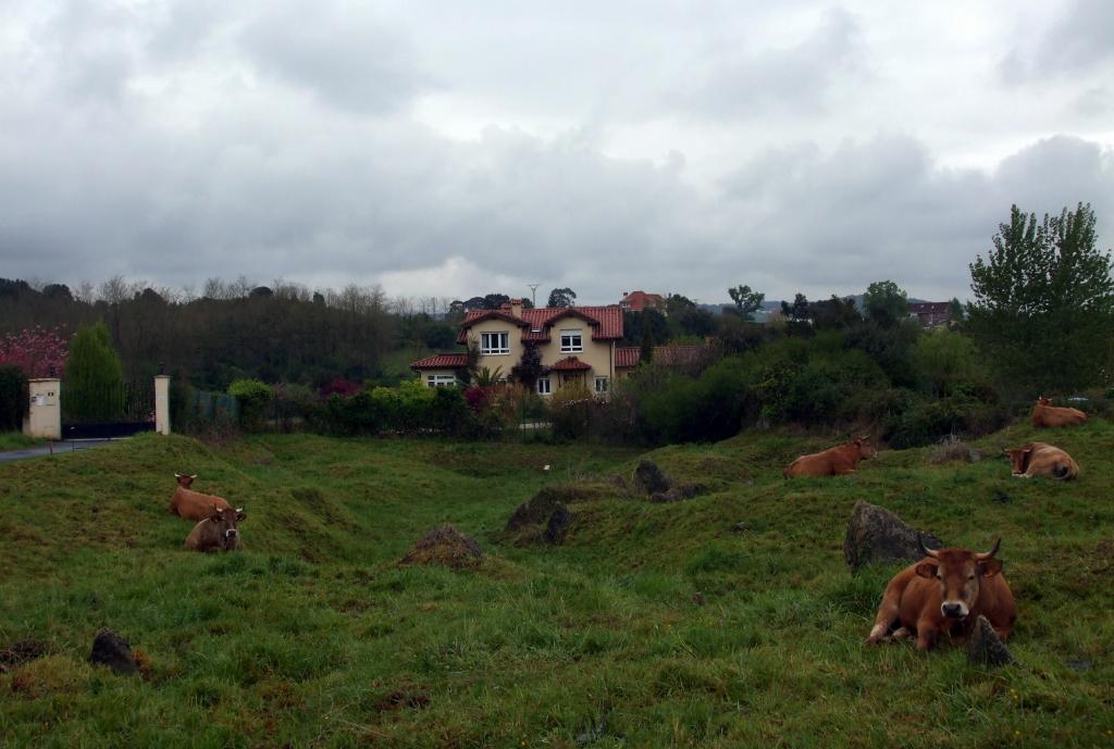 Foto de Liaño (Cantabria), España