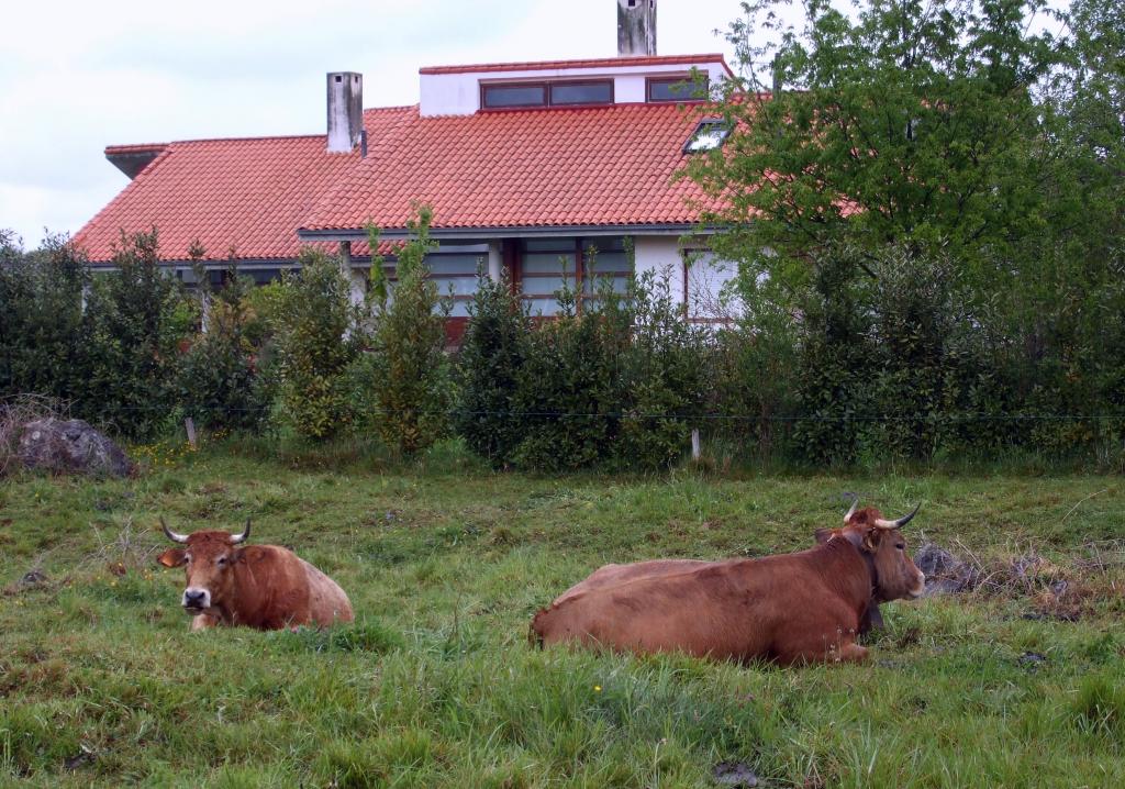 Foto de Liaño (Cantabria), España