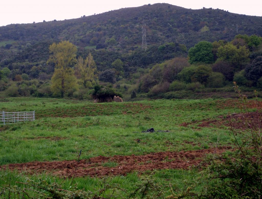 Foto de Liaño (Cantabria), España