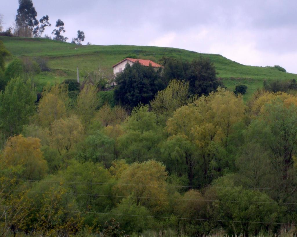 Foto de Liaño (Cantabria), España