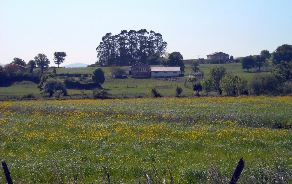 Foto de Orejo (Cantabria), España