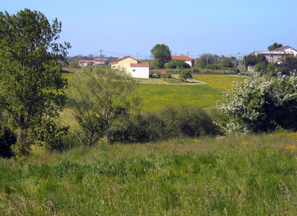 Foto de Orejo (Cantabria), España