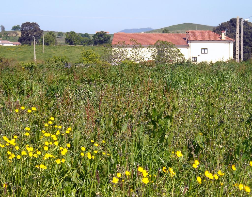 Foto de Orejo (Cantabria), España