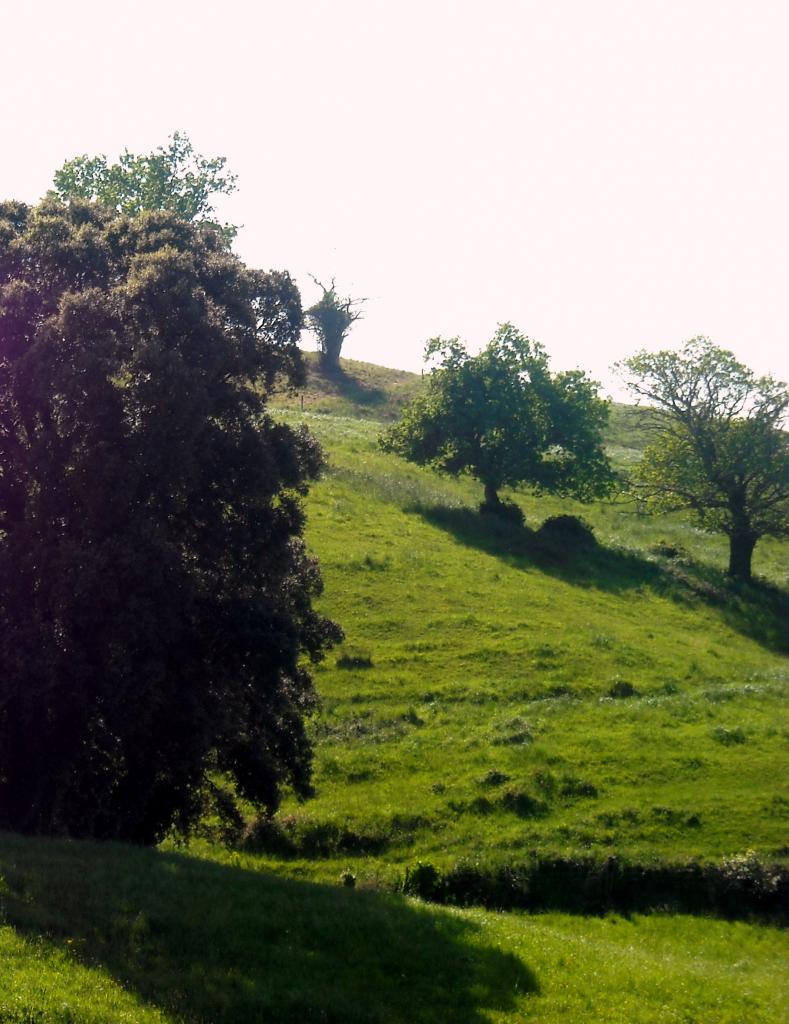 Foto de Orejo (Cantabria), España