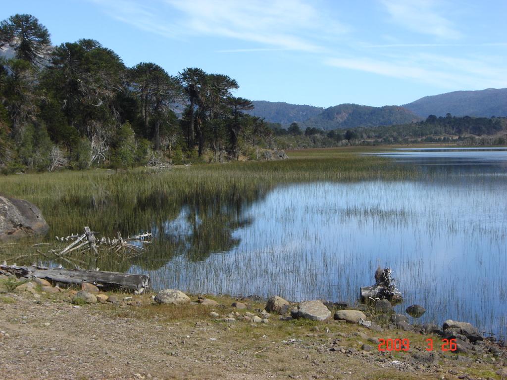 Foto de Aluminé (Neuquén), Argentina