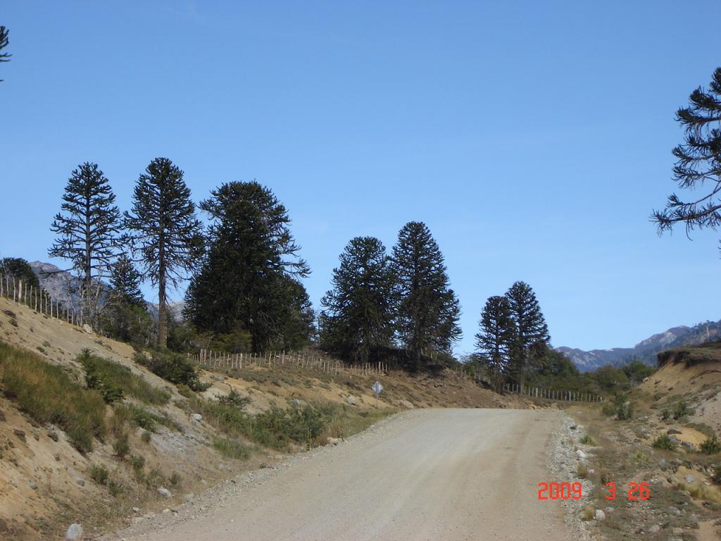 Foto de Aluminé (Neuquén), Argentina