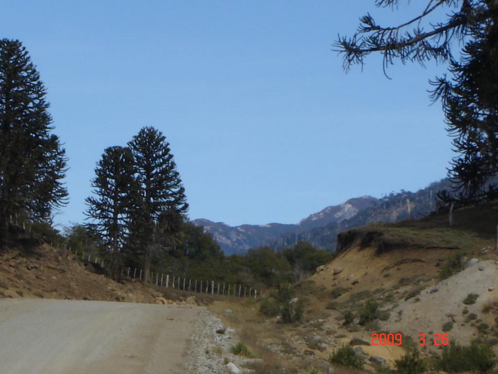 Foto de Aluminé (Neuquén), Argentina