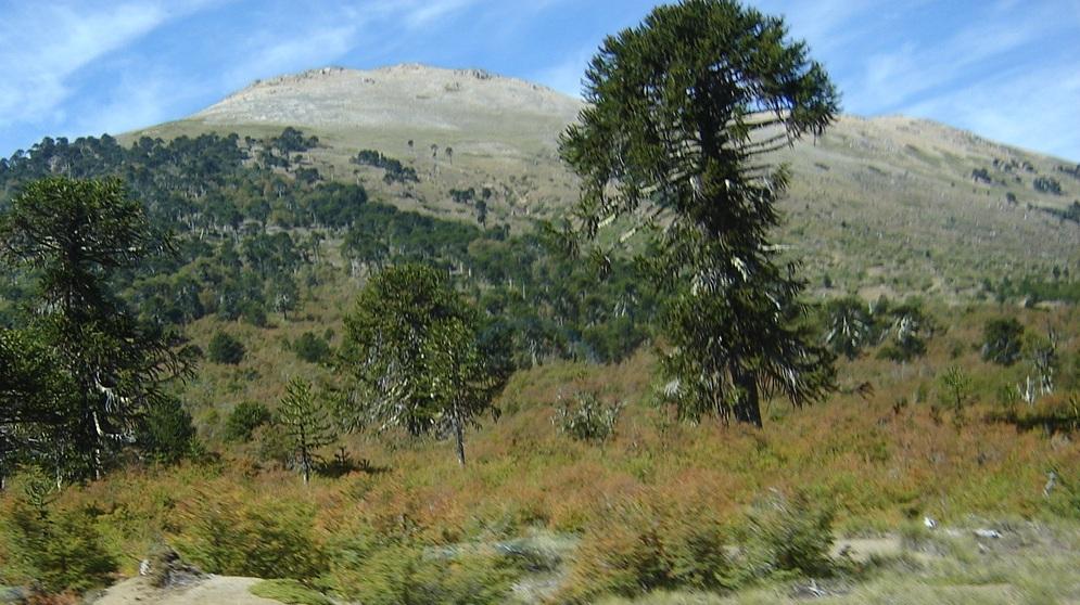 Foto de Aluminé (Neuquén), Argentina