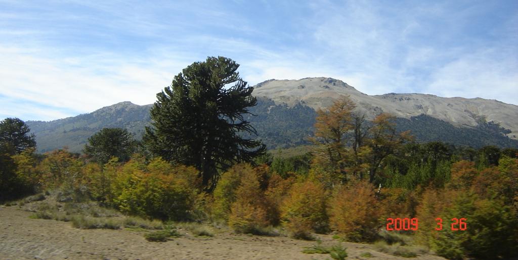 Foto de Aluminé (Neuquén), Argentina