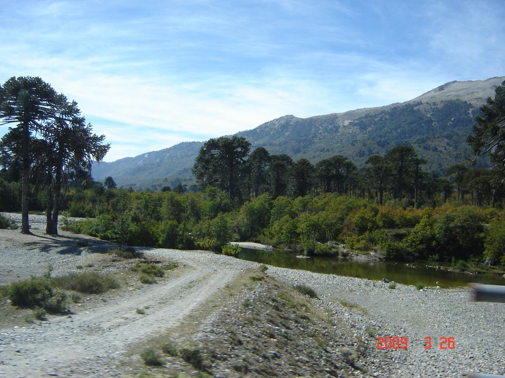 Foto de Aluminé (Neuquén), Argentina