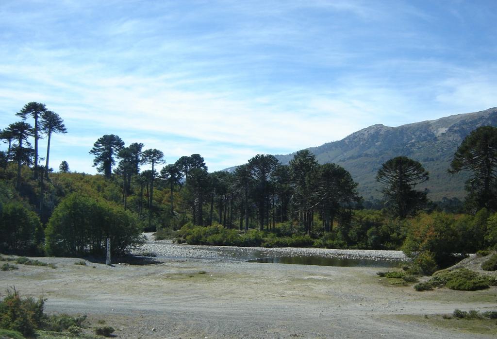 Foto de Aluminé (Neuquén), Argentina