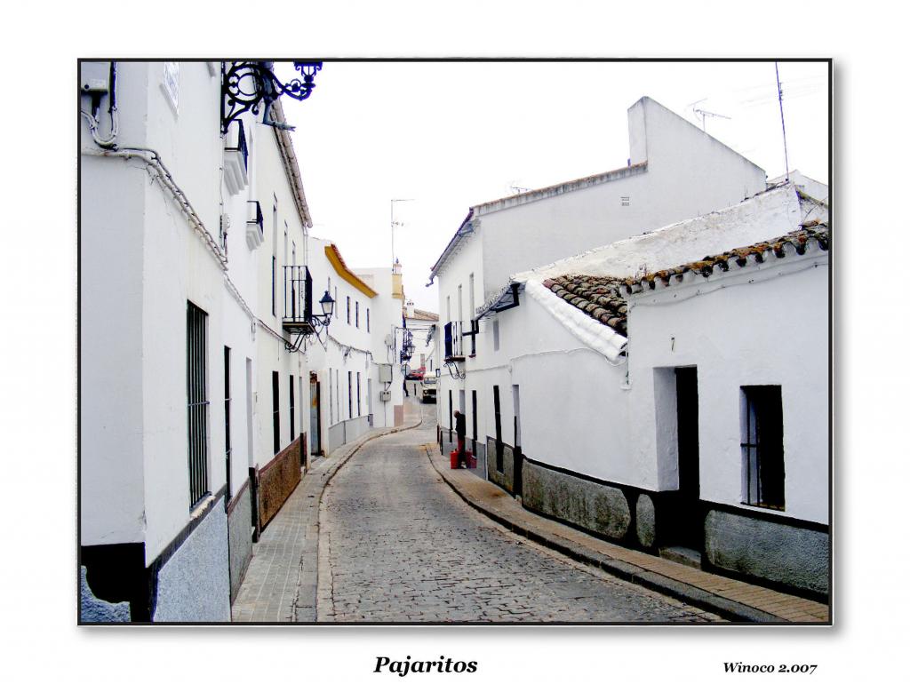 Foto de El Pedroso (Sevilla), España