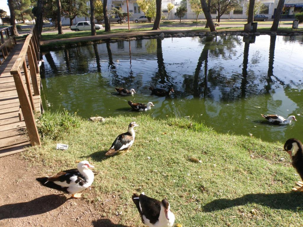 Foto de Tornquist (Buenos Aires), Argentina