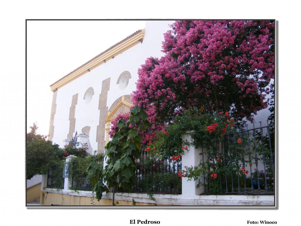 Foto de El Pedroso (Sevilla), España