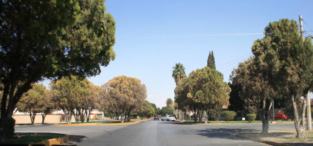 Foto de Torreon Coah, México