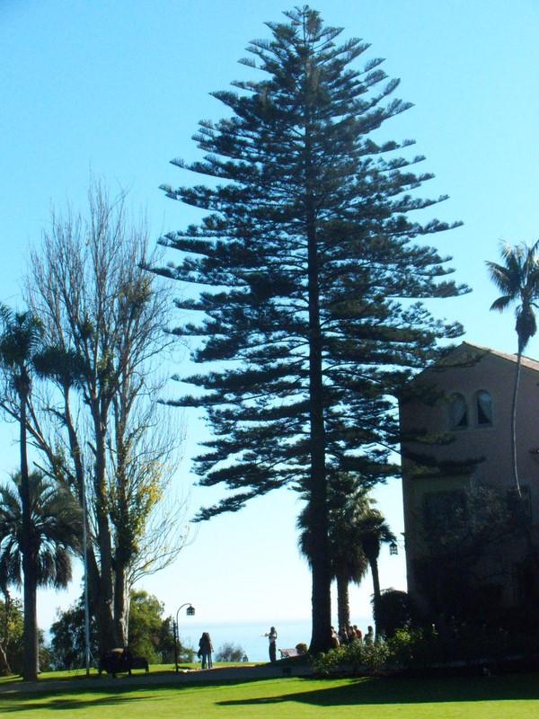 Foto de Viña del Mar, Chile