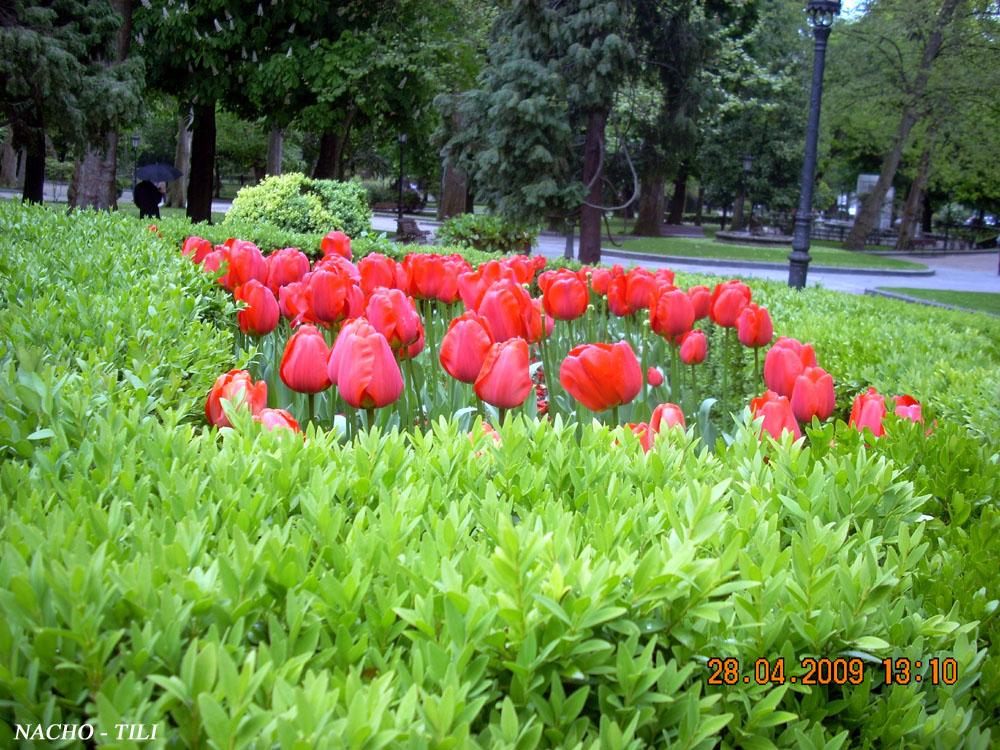 Foto de Oviedo (Asturias), España