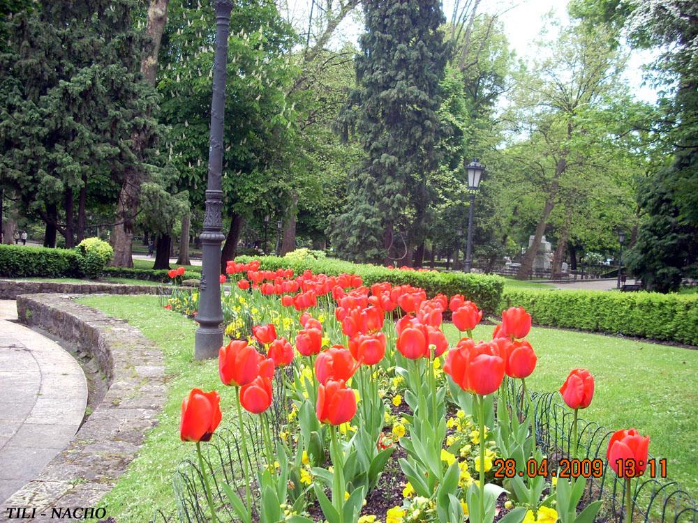 Foto de Oviedo (Asturias), España