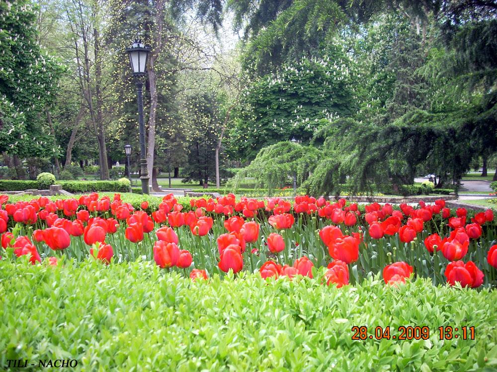 Foto de Oviedo (Asturias), España