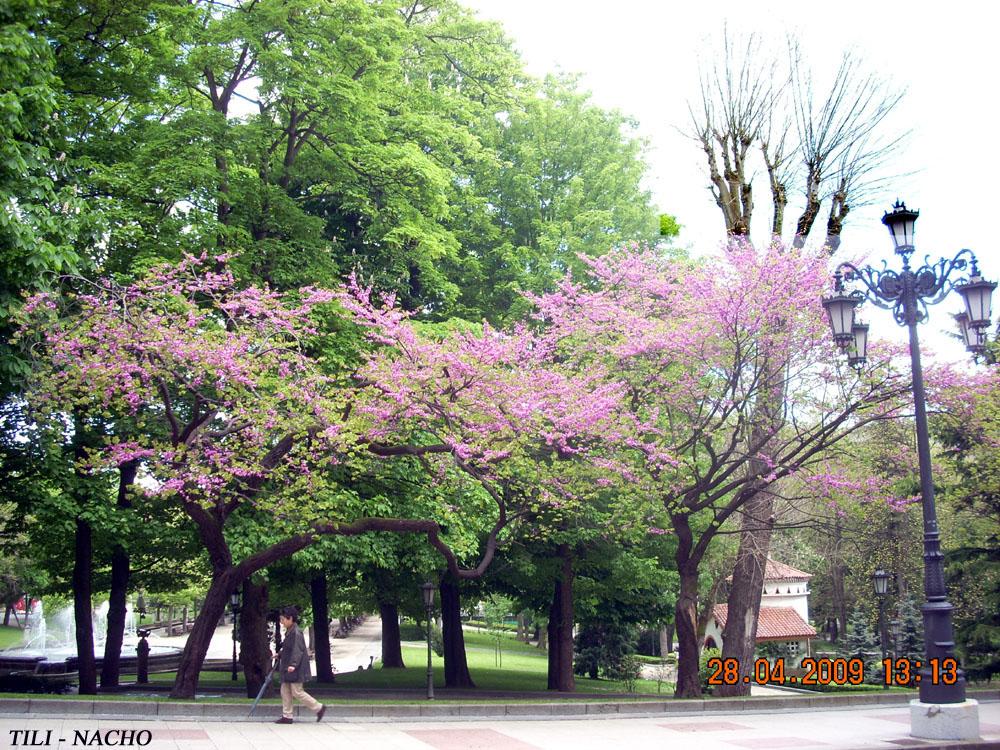 Foto de Oviedo (Asturias), España