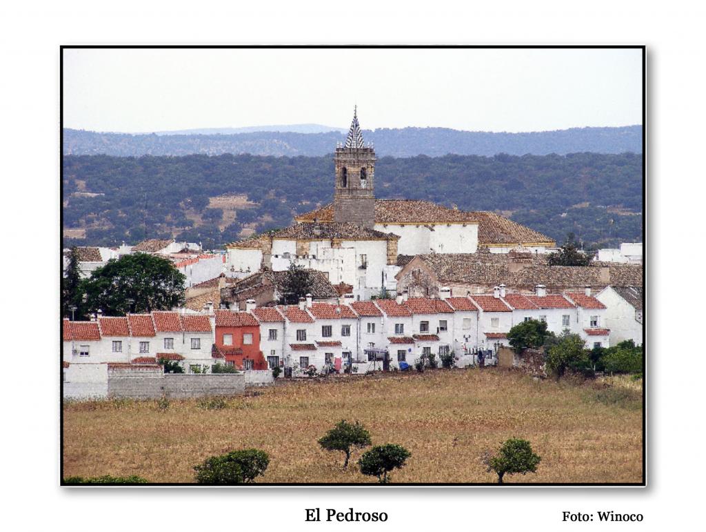 Foto de El Pedroso (Sevilla), España