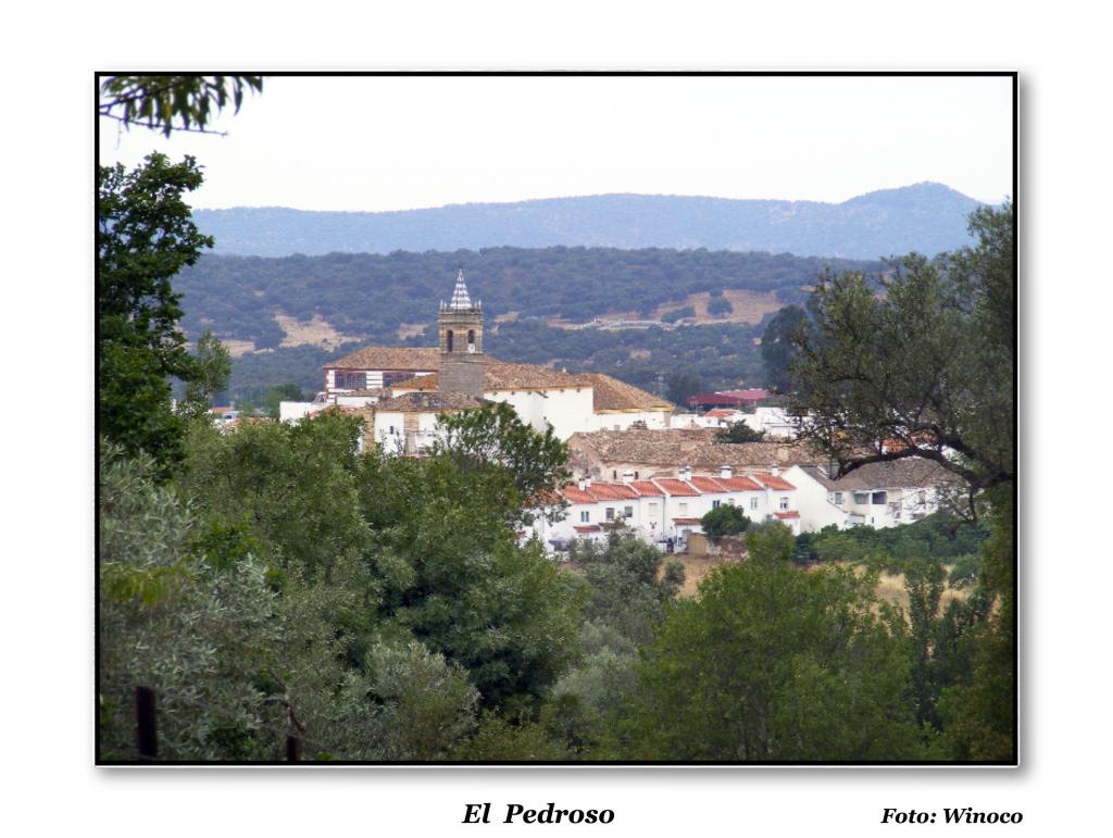 Foto de El Pedroso (Sevilla), España