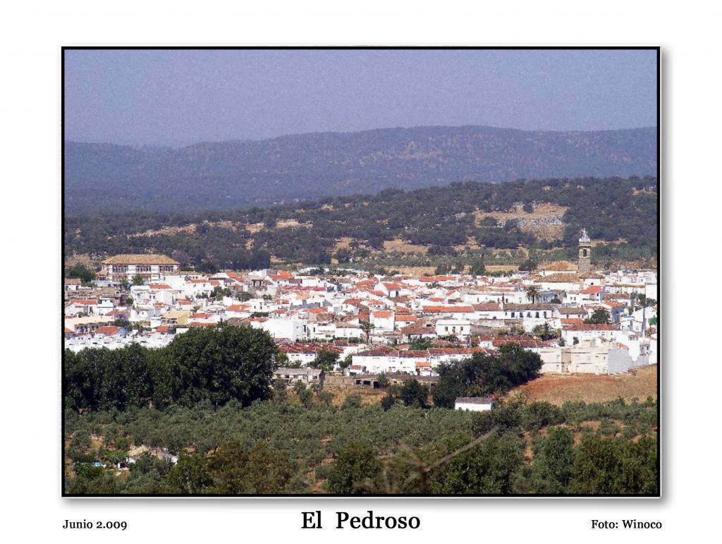 Foto de El Pedroso (Sevilla), España