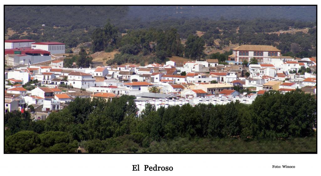 Foto de El Pedroso (Sevilla), España