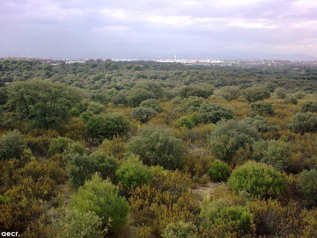 Foto de Majadahonda (Madrid), España