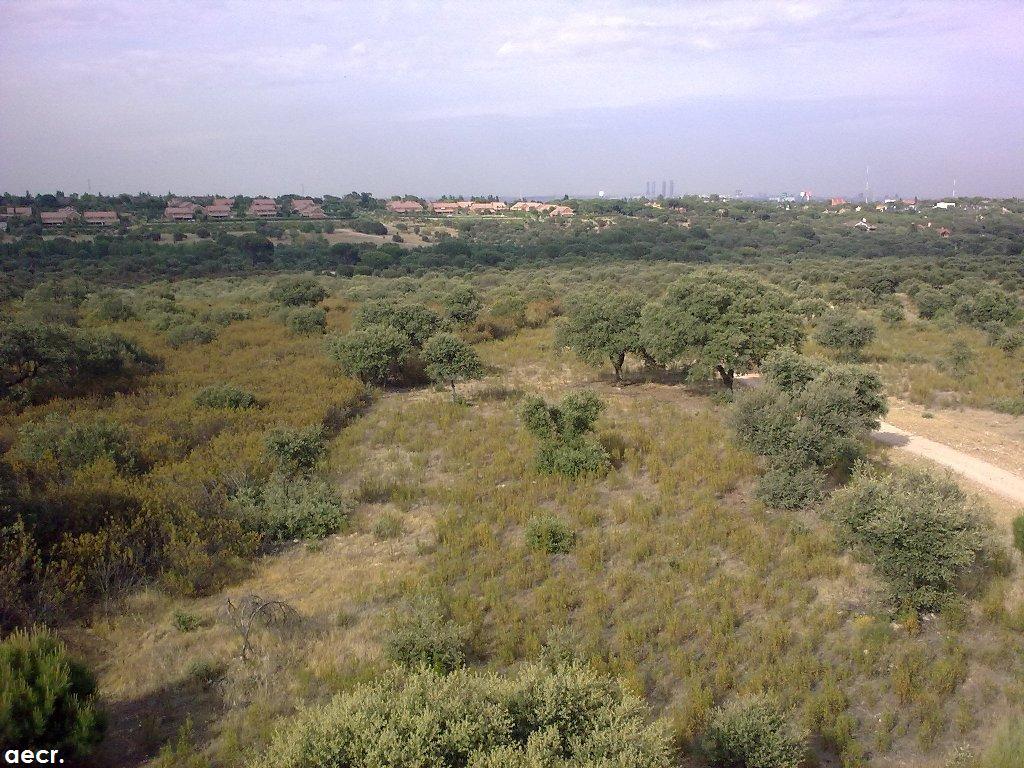 Foto de Majadahonda (Madrid), España