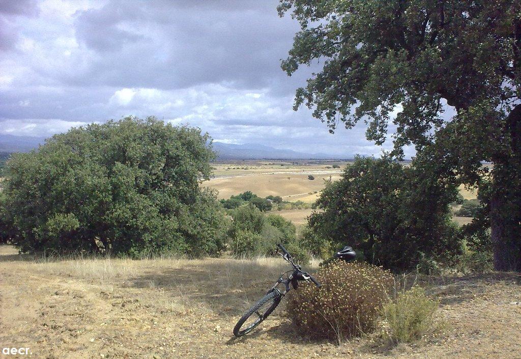 Foto de Boadilla del Monte (Madrid), España