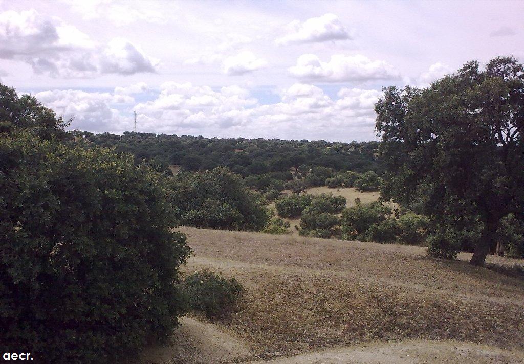 Foto de Boadilla del Monte (Madrid), España