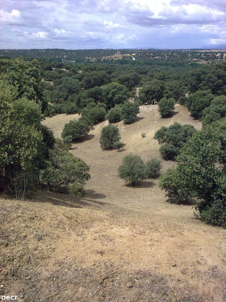 Foto de Boadilla del Monte (Madrid), España