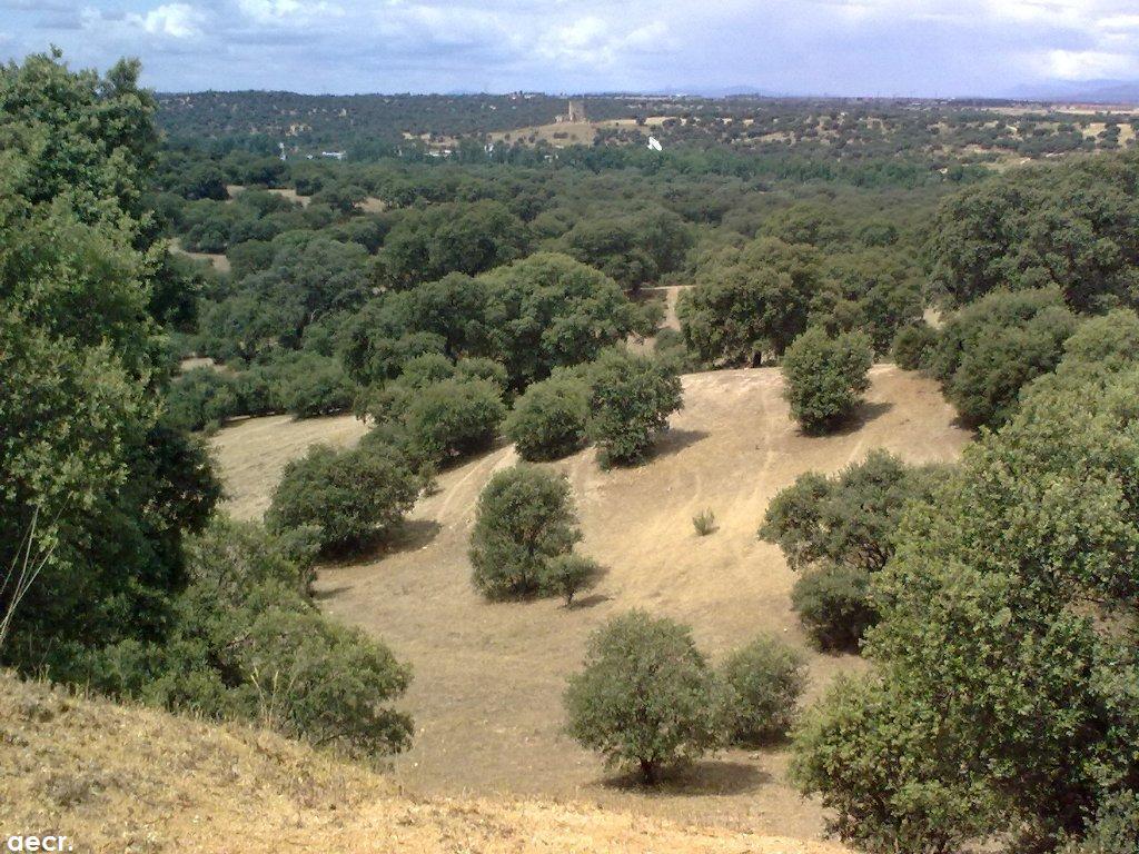 Foto de Boadilla del Monte (Madrid), España