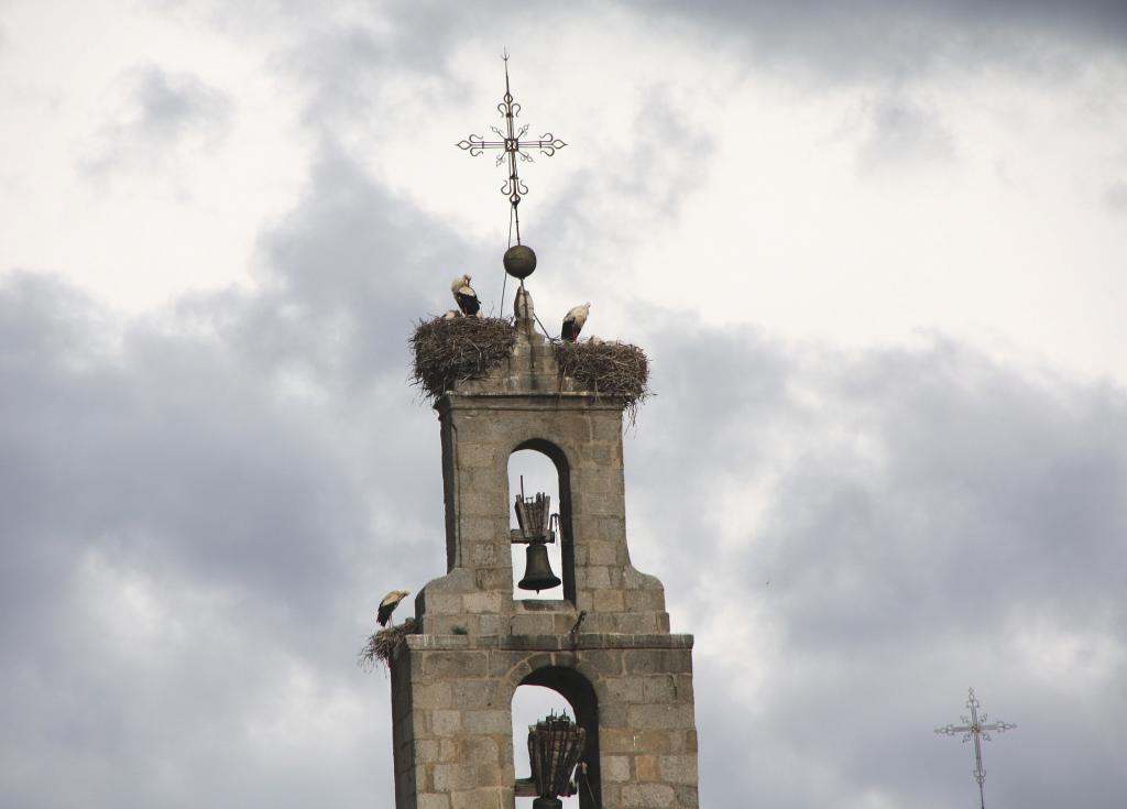 Foto de Ávila (Castilla y León), España