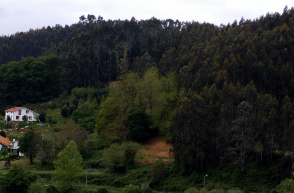 Foto de Oruña (Cantabria), España