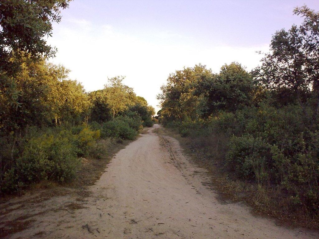 Foto de Majadahonda (Madrid), España