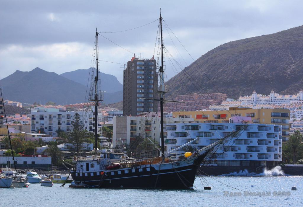 Foto de Arona (Los Cristianos) (Santa Cruz de Tenerife), España