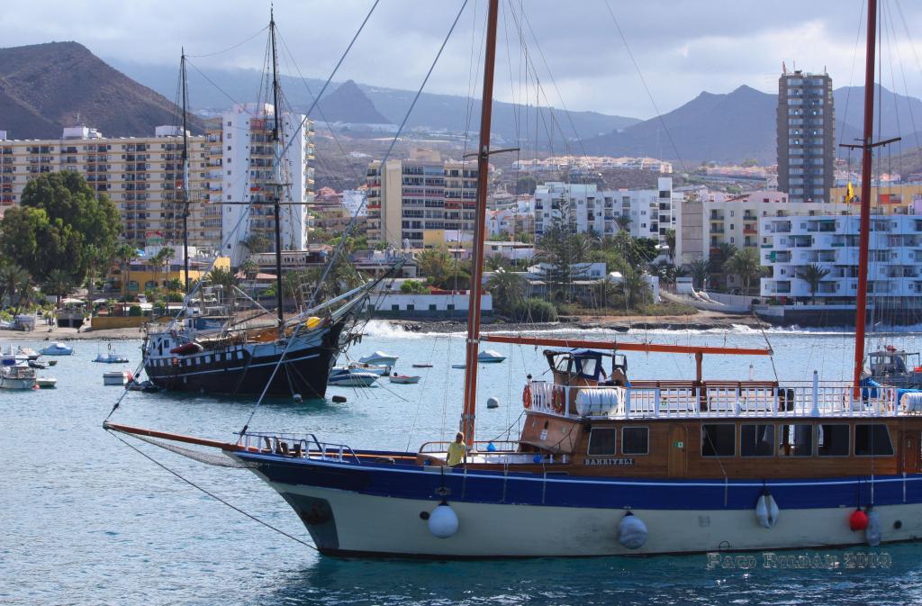 Foto de Arona (Los Cristianos) (Santa Cruz de Tenerife), España