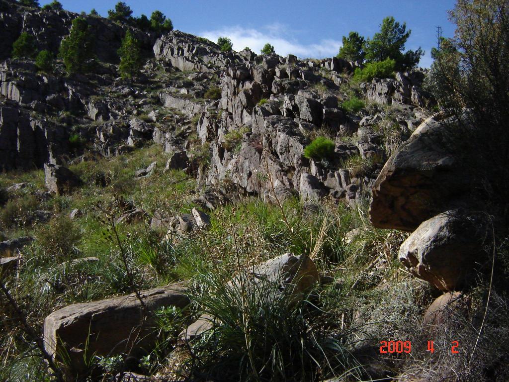 Foto de Sierra de la Ventana (Buenos Aires), Argentina