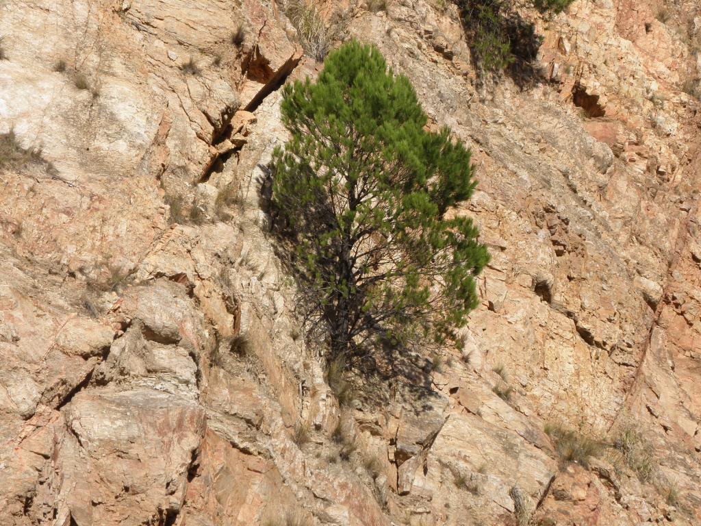 Foto de Sierra de la Ventana (Buenos Aires), Argentina