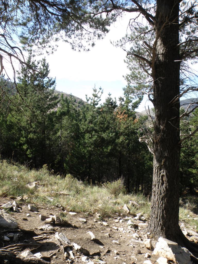 Foto de Sierra de la Ventana (Buenos Aires), Argentina