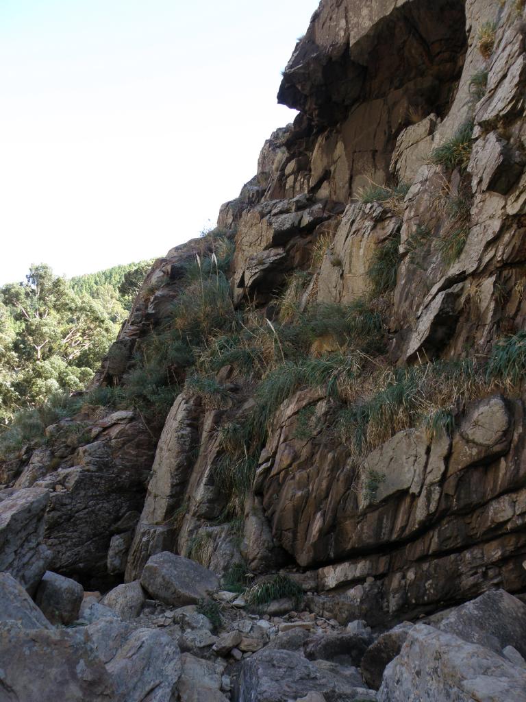 Foto de Sierra de la Ventana (Buenos Aires), Argentina